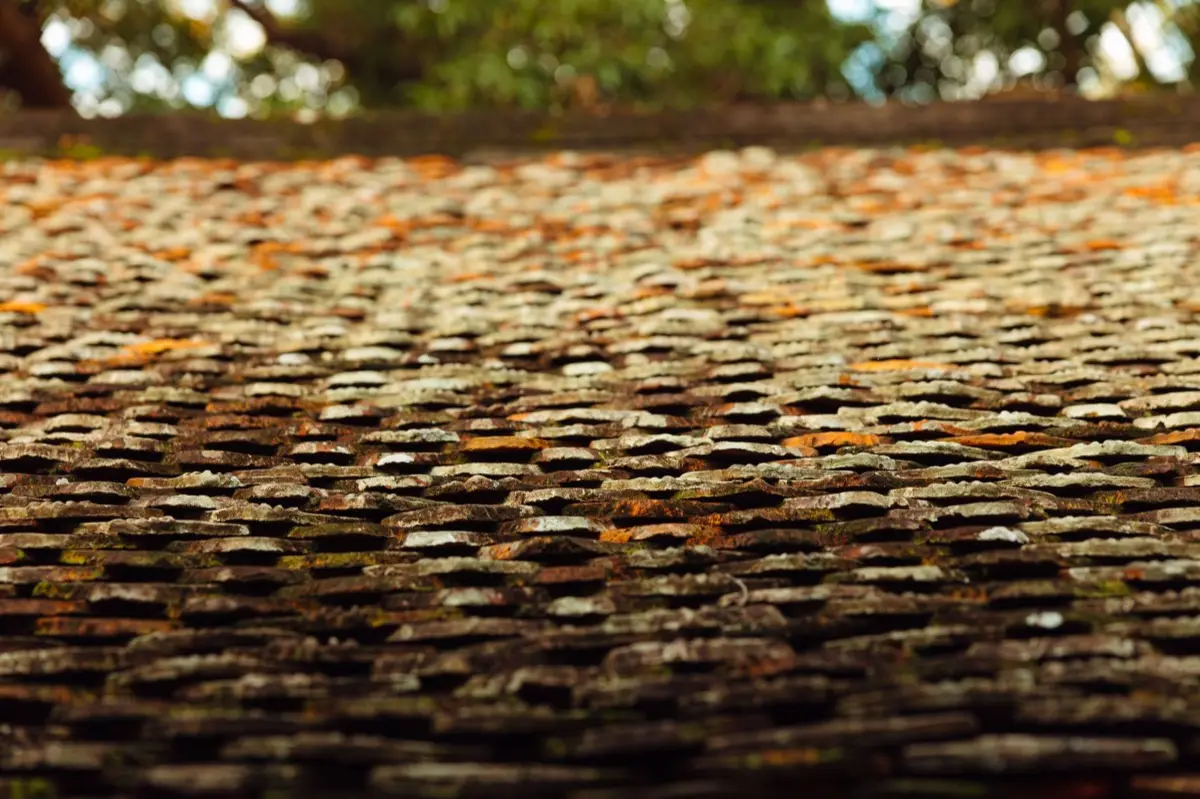 Aging shingle roof with moss growth and granule loss in Nashville, TN